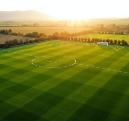 Hectares convertis en terrains de football : correspondance précise et explications détaillées