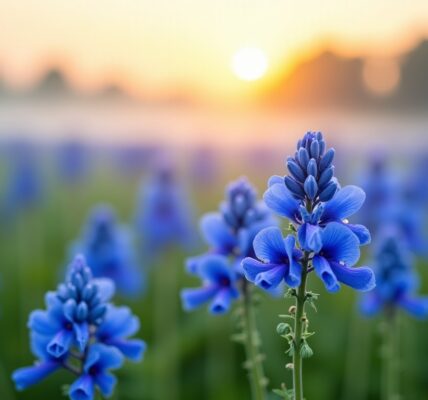 Aconitum napellus et gestion de l'angoisse : que révèle l'efficacité homéopathique ?